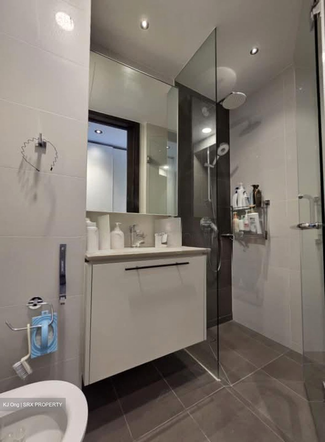 The Lilium (D19), Condominium #565302461